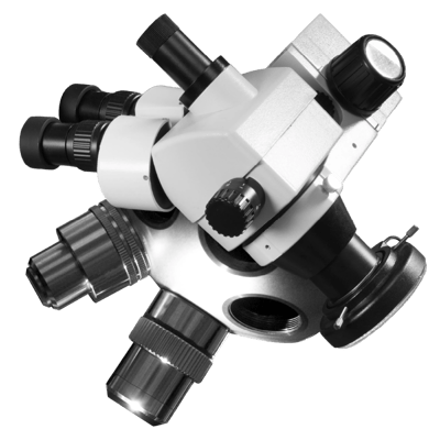 commercial-phases_BBB_phase-5_optimization_800x800 commercial-phases_BBB_phase-5_optimization_800x800