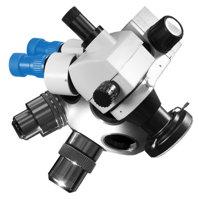 commercial-phases_BBB_phase-5_optimization_color_800x800