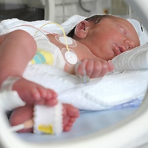 iStock-470920394_3 Style_800x800