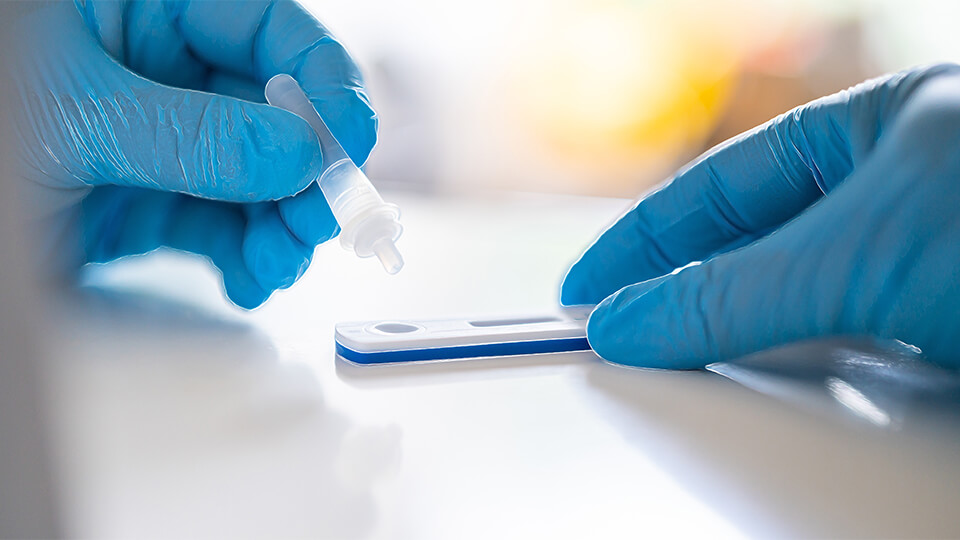 The Workflow and Process for In Vitro Diagnostics